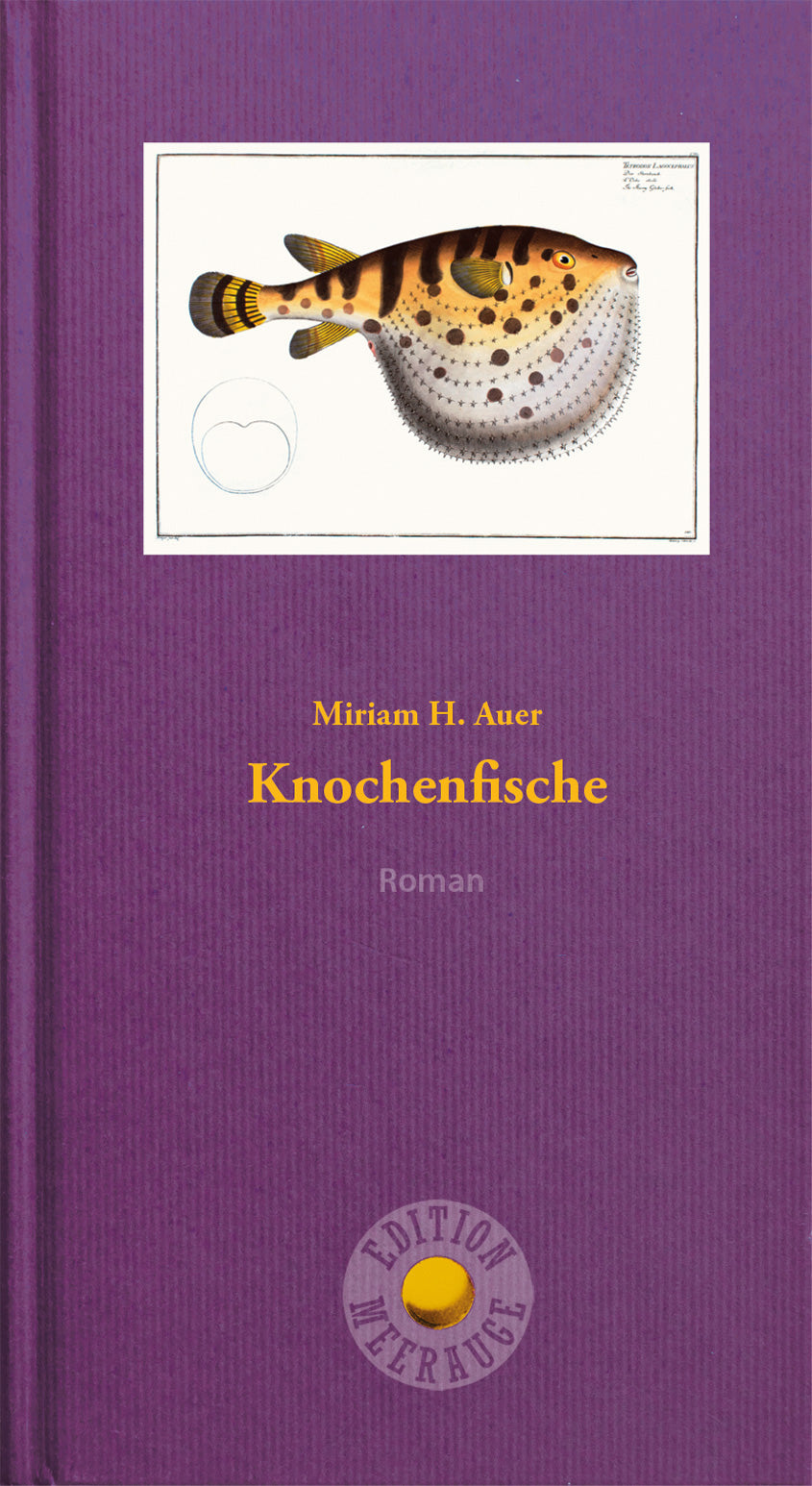 Knochenfische - Cover