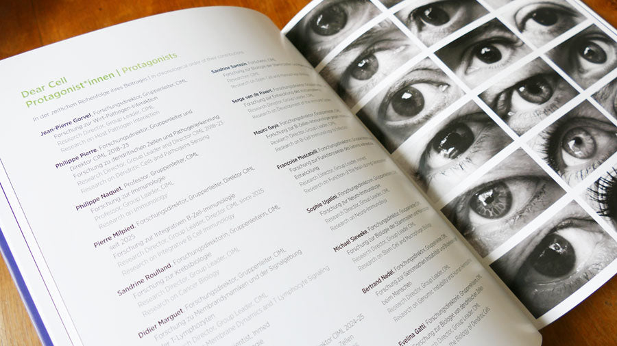 Regina Hübner: Dear …