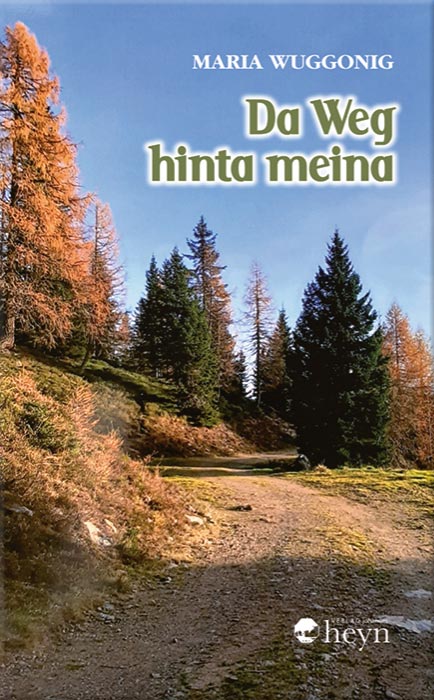 Da Weg hinta meina - Cover