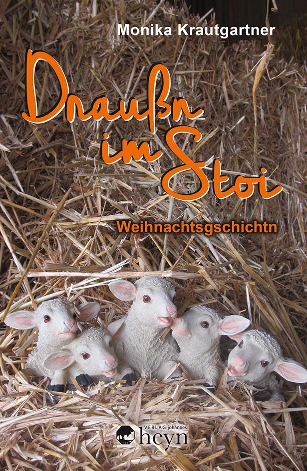 Draußn im Stoi Cover