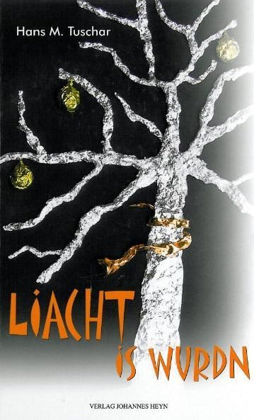 Licht is wurdn Cover