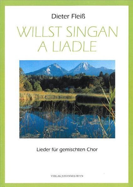 Willst singan a Liadle Cover